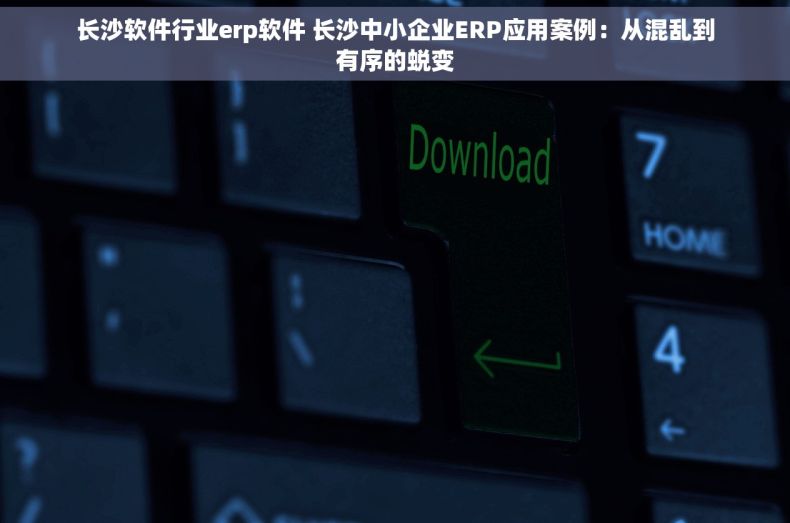 长沙软件行业erp软件 长沙中小企业ERP应用案例：从混乱到有序的蜕变