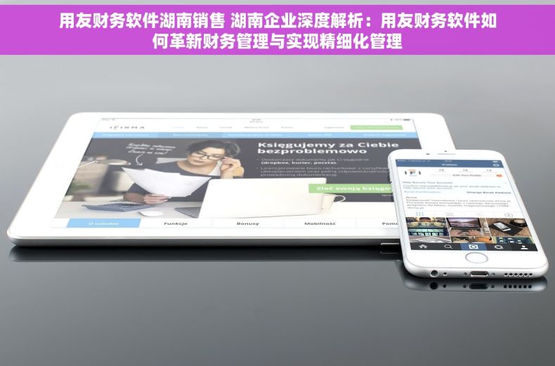 用友财务软件湖南销售 湖南企业深度解析：用友财务软件如何革新财务管理与实现精细化管理