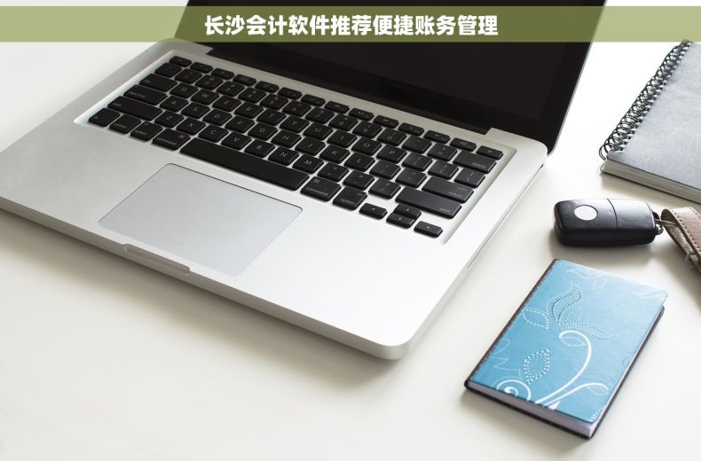 长沙会计软件推荐便捷账务管理