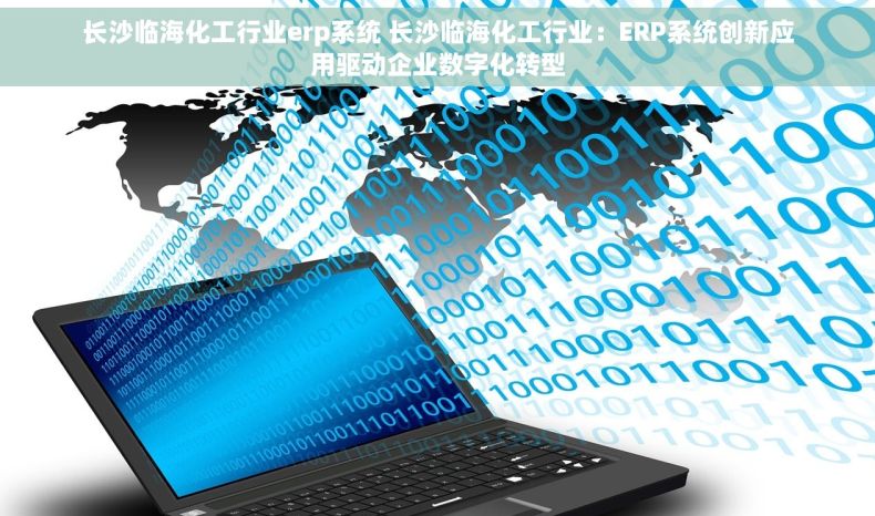 长沙临海化工行业erp系统 长沙临海化工行业：ERP系统创新应用驱动企业数字化转型
