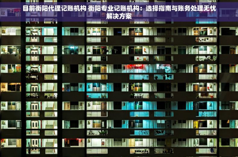 目前衡阳代理记账机构 衡阳专业记账机构：选择指南与账务处理无忧解决方案