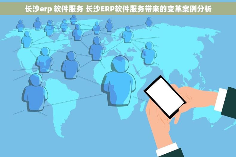 长沙erp 软件服务 长沙ERP软件服务带来的变革案例分析