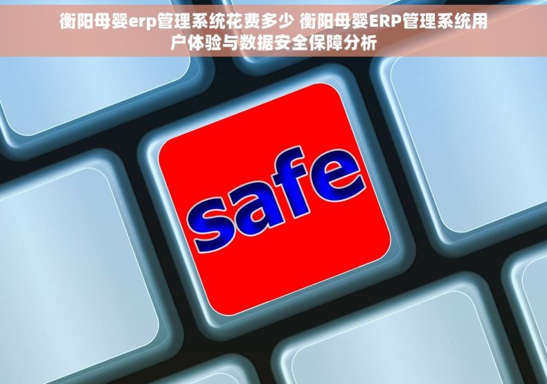 衡阳母婴erp管理系统花费多少 衡阳母婴ERP管理系统用户体验与数据安全保障分析
