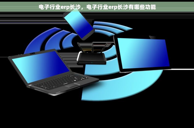 电子行业erp长沙，电子行业erp长沙有哪些功能