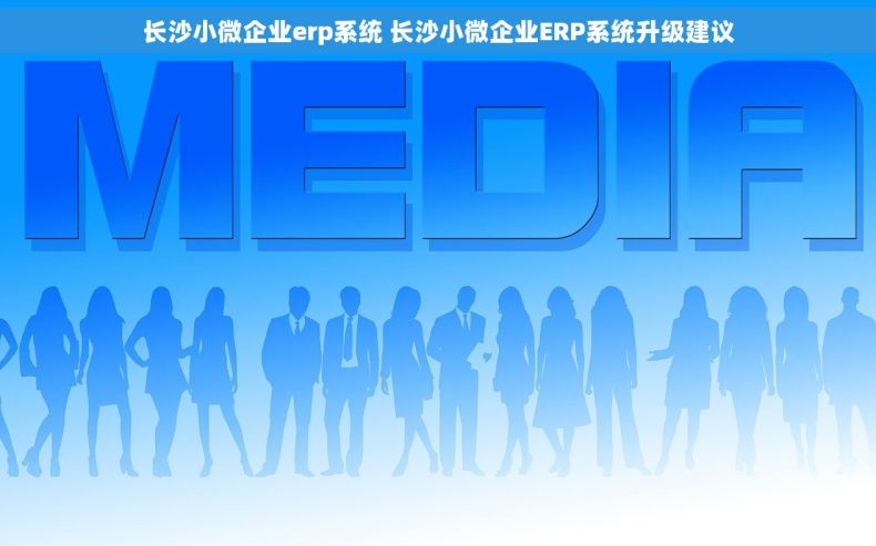 长沙小微企业erp系统 长沙小微企业ERP系统升级建议