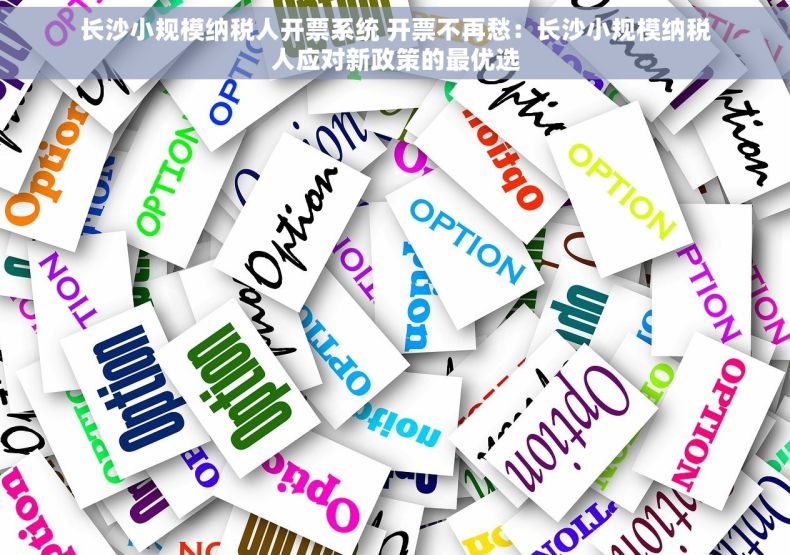 长沙小规模纳税人开票系统 开票不再愁：长沙小规模纳税人应对新政策的最优选