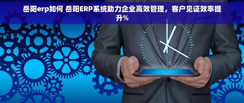 岳阳erp如何 岳阳ERP系统助力企业高效管理，客户见证效率提升%