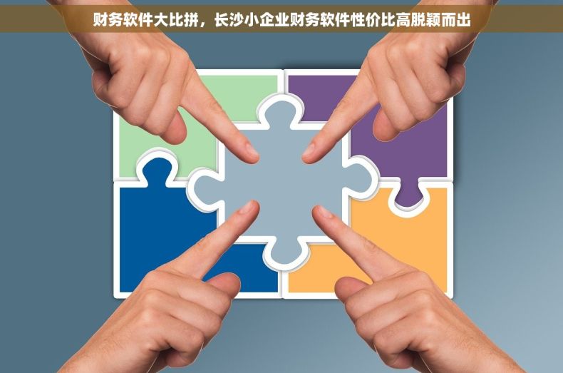 财务软件大比拼，长沙小企业财务软件性价比高脱颖而出
