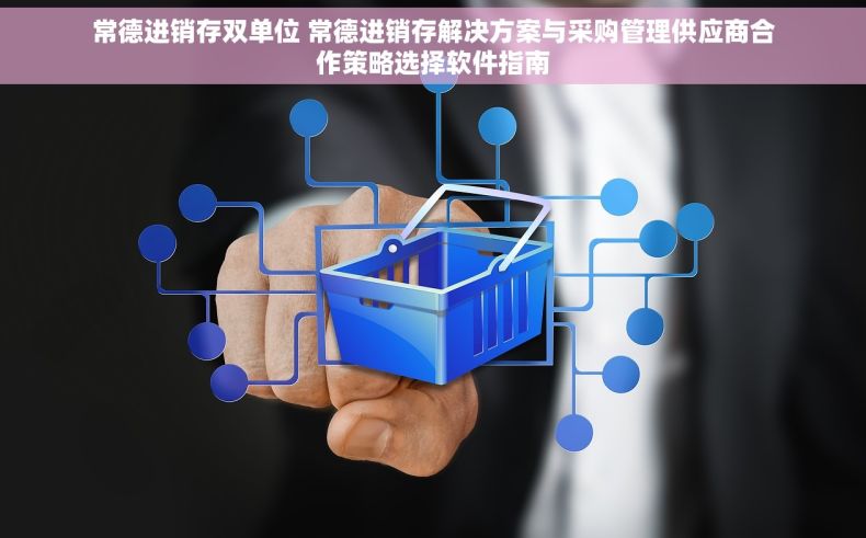 常德进销存双单位 常德进销存解决方案与采购管理供应商合作策略选择软件指南