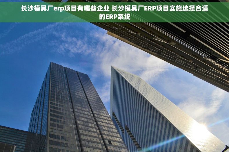 长沙模具厂erp项目有哪些企业 长沙模具厂ERP项目实施选择合适的ERP系统