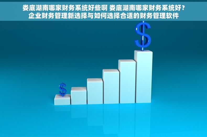 娄底湖南哪家财务系统好些啊 娄底湖南哪家财务系统好？企业财务管理新选择与如何选择合适的财务管理软件
