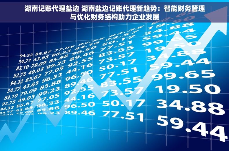 湖南记账代理盐边 湖南盐边记账代理新趋势：智能财务管理与优化财务结构助力企业发展