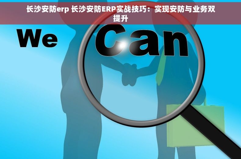 长沙安防erp 长沙安防ERP实战技巧：实现安防与业务双提升