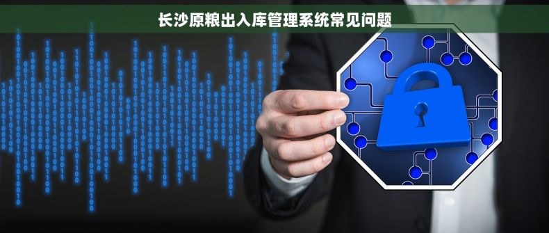长沙原粮出入库管理系统常见问题