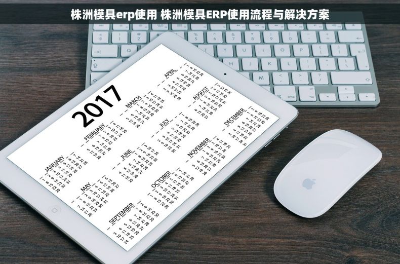 株洲模具erp使用 株洲模具ERP使用流程与解决方案