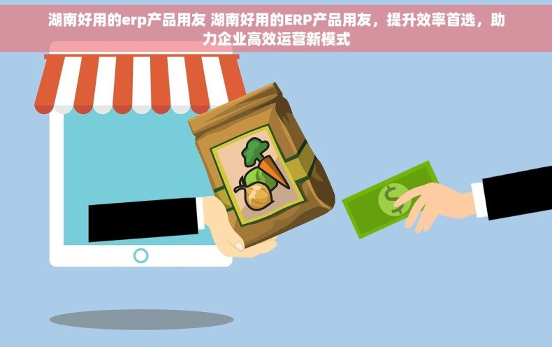 湖南好用的erp产品用友 湖南好用的ERP产品用友，提升效率首选，助力企业高效运营新模式