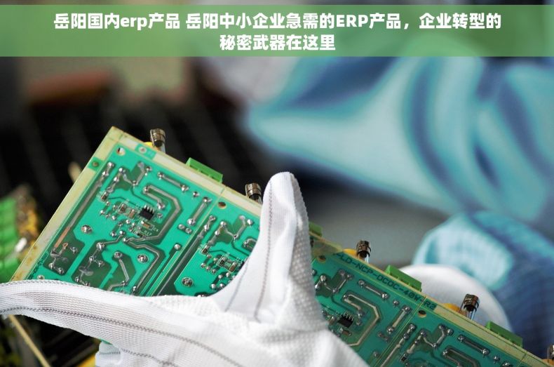 岳阳国内erp产品 岳阳中小企业急需的ERP产品，企业转型的秘密武器在这里