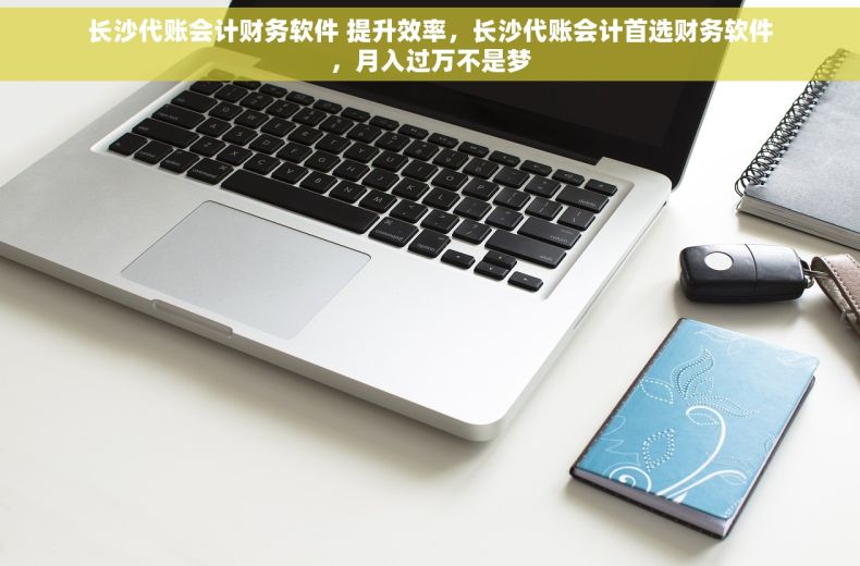 长沙代账会计财务软件 提升效率，长沙代账会计首选财务软件，月入过万不是梦