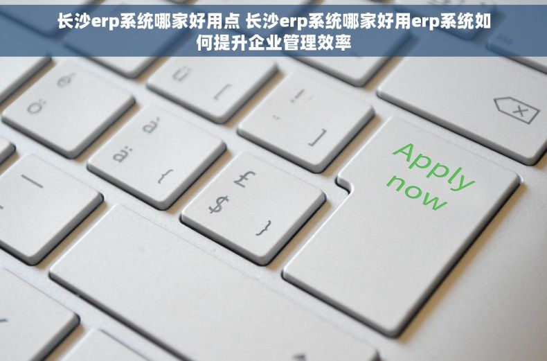 长沙erp系统哪家好用点 长沙erp系统哪家好用erp系统如何提升企业管理效率