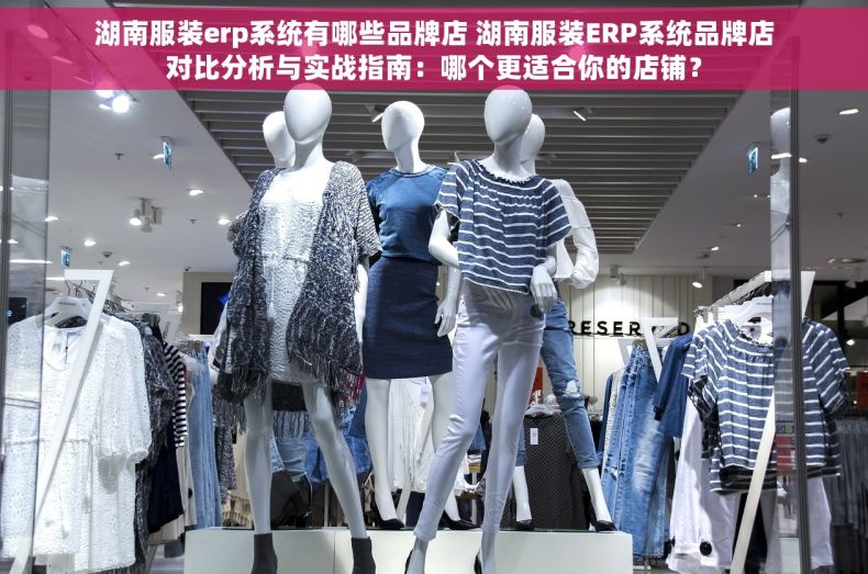 湖南服装erp系统有哪些品牌店 湖南服装ERP系统品牌店对比分析与实战指南：哪个更适合你的店铺？