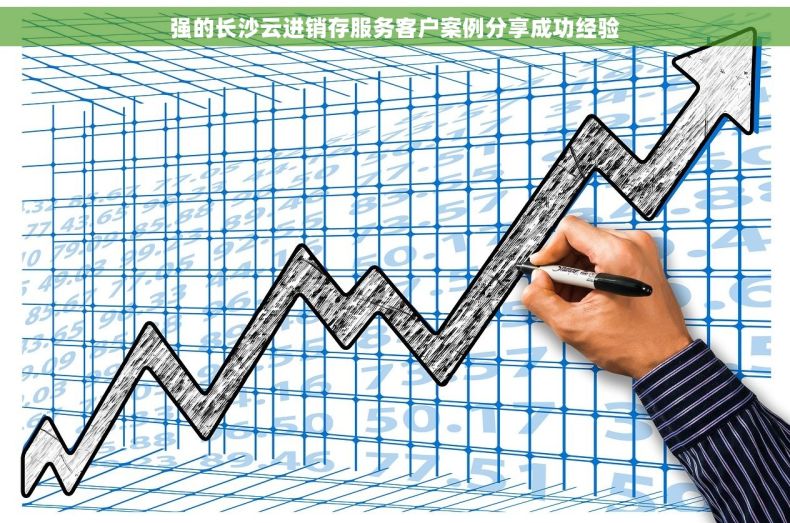 强的长沙云进销存服务客户案例分享成功经验