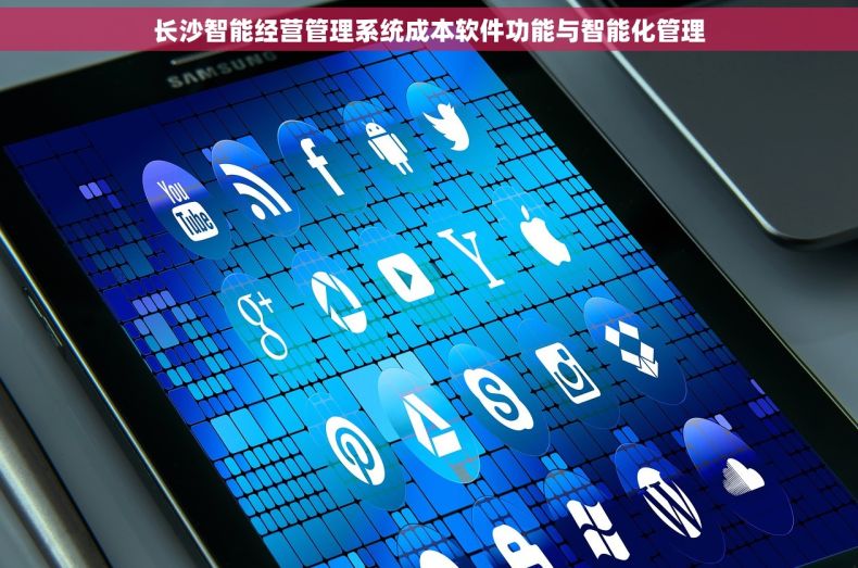 长沙智能经营管理系统成本软件功能与智能化管理