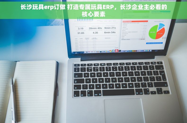 长沙玩具erp订做 打造专属玩具ERP，长沙企业主必看的核心要素