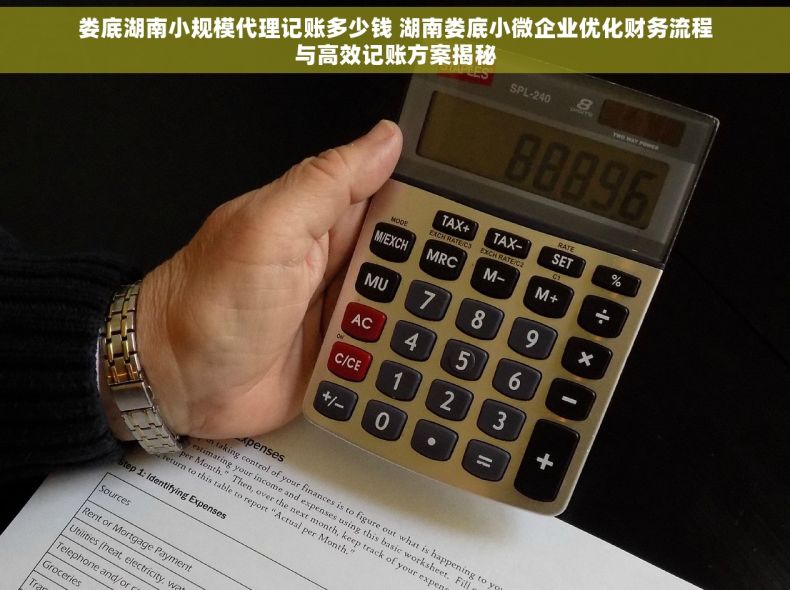娄底湖南小规模代理记账多少钱 湖南娄底小微企业优化财务流程与高效记账方案揭秘