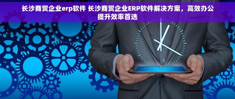 长沙商贸企业erp软件 长沙商贸企业ERP软件解决方案，高效办公提升效率首选