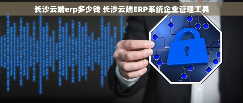 长沙云端erp多少钱 长沙云端ERP系统企业管理工具