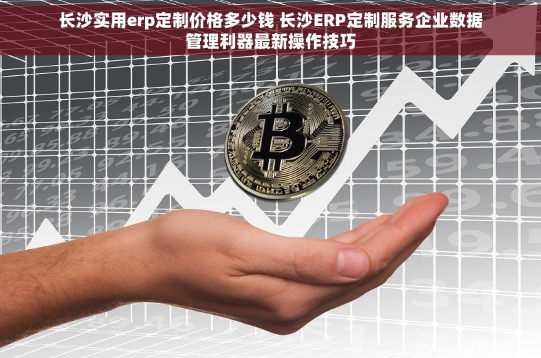 长沙实用erp定制价格多少钱 长沙ERP定制服务企业数据管理利器最新操作技巧