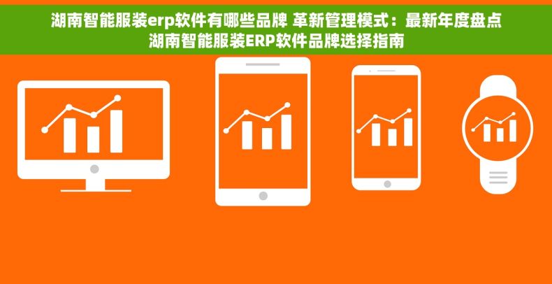 湖南智能服装erp软件有哪些品牌 革新管理模式：最新年度盘点湖南智能服装ERP软件品牌选择指南