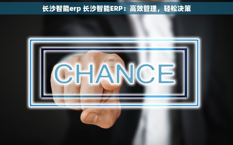 长沙智能erp 长沙智能ERP：高效管理，轻松决策