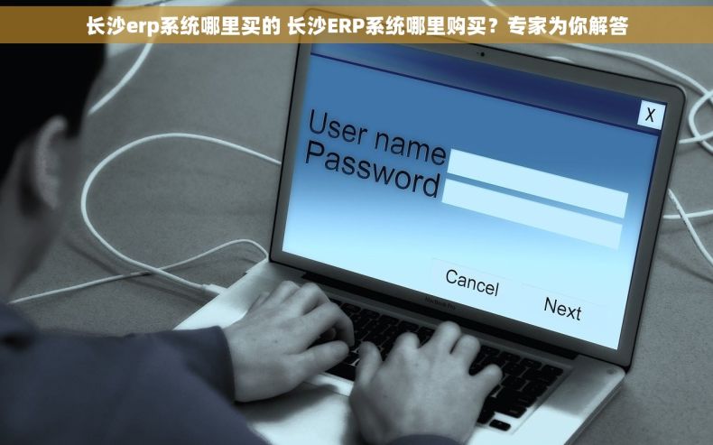 长沙erp系统哪里买的 长沙ERP系统哪里购买？专家为你解答