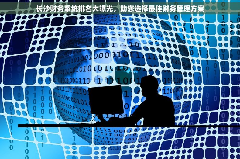 长沙财务系统排名大曝光，助您选择最佳财务管理方案