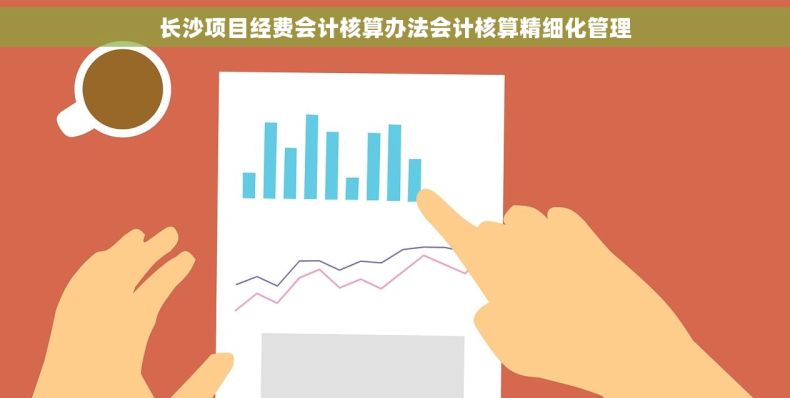 长沙项目经费会计核算办法会计核算精细化管理