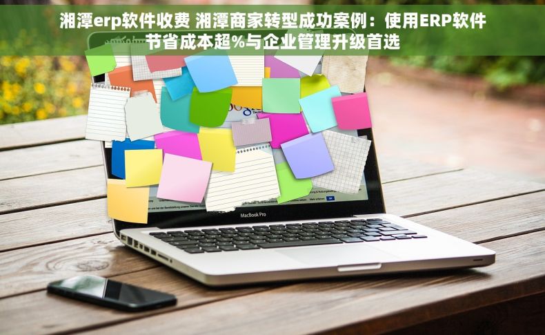湘潭erp软件收费 湘潭商家转型成功案例：使用ERP软件节省成本超%与企业管理升级首选