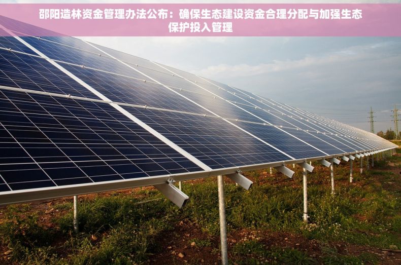 邵阳造林资金管理办法公布：确保生态建设资金合理分配与加强生态保护投入管理