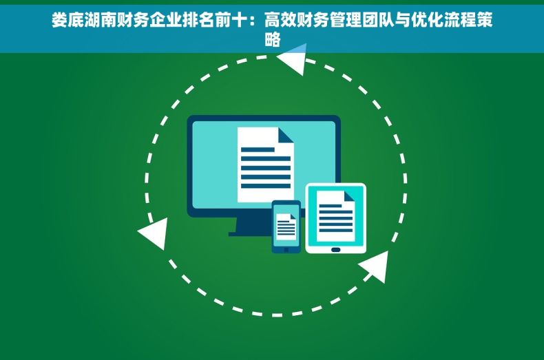 娄底湖南财务企业排名前十：高效财务管理团队与优化流程策略