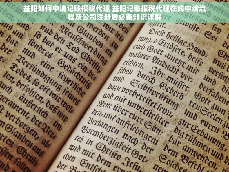 益阳如何申请记账报税代理 益阳记账报税代理在线申请流程及公司注册后必备知识详解
