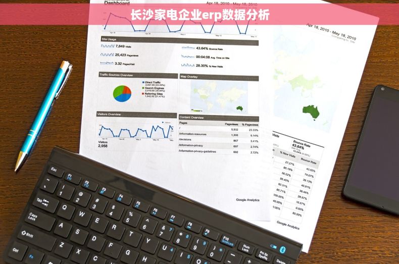 长沙家电企业erp数据分析