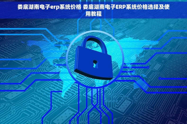 娄底湖南电子erp系统价格 娄底湖南电子ERP系统价格选择及使用教程