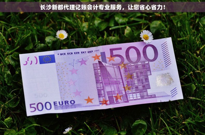 长沙新都代理记账会计专业服务，让您省心省力！