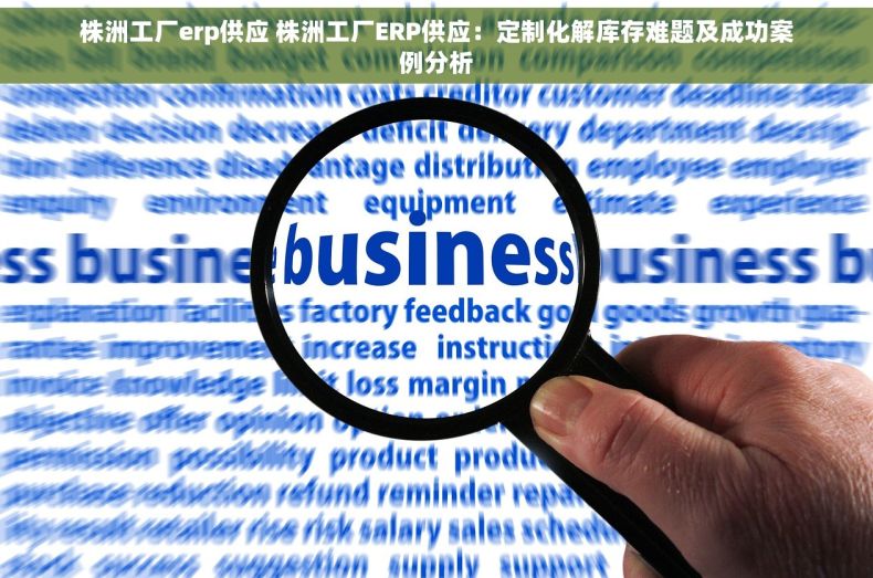 株洲工厂erp供应 株洲工厂ERP供应：定制化解库存难题及成功案例分析