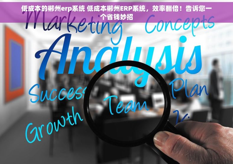 低成本的郴州erp系统 低成本郴州ERP系统，效率翻倍！告诉您一个省钱妙招