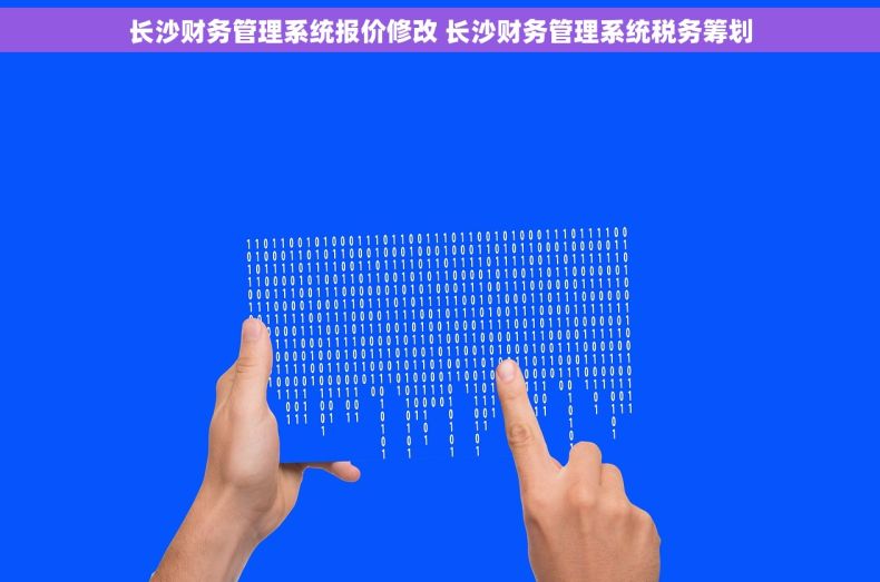 长沙财务管理系统报价修改 长沙财务管理系统税务筹划