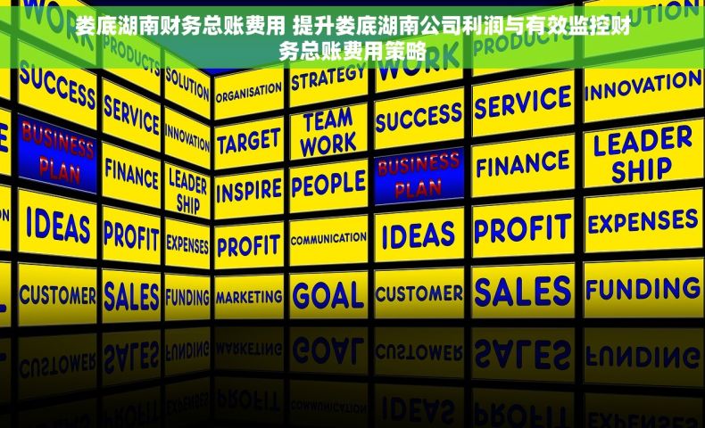 娄底湖南财务总账费用 提升娄底湖南公司利润与有效监控财务总账费用策略