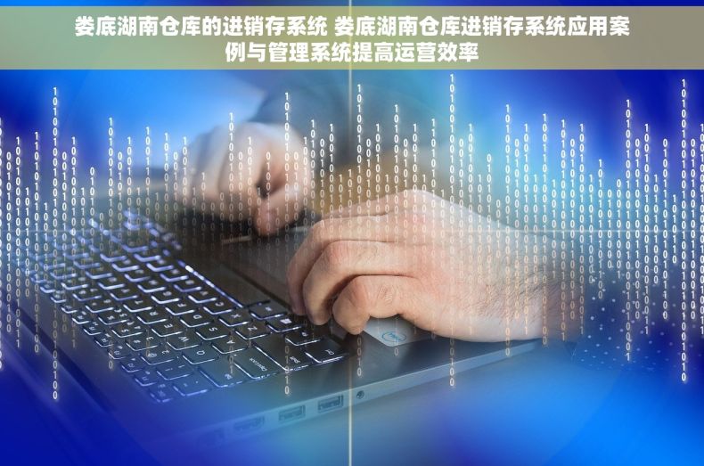 娄底湖南仓库的进销存系统 娄底湖南仓库进销存系统应用案例与管理系统提高运营效率