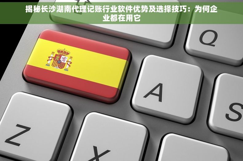 揭秘长沙湖南代理记账行业软件优势及选择技巧：为何企业都在用它