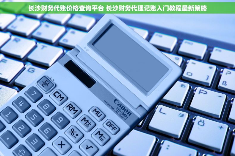 长沙财务代账价格查询平台 长沙财务代理记账入门教程最新策略